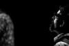 Joe Lovano (02)